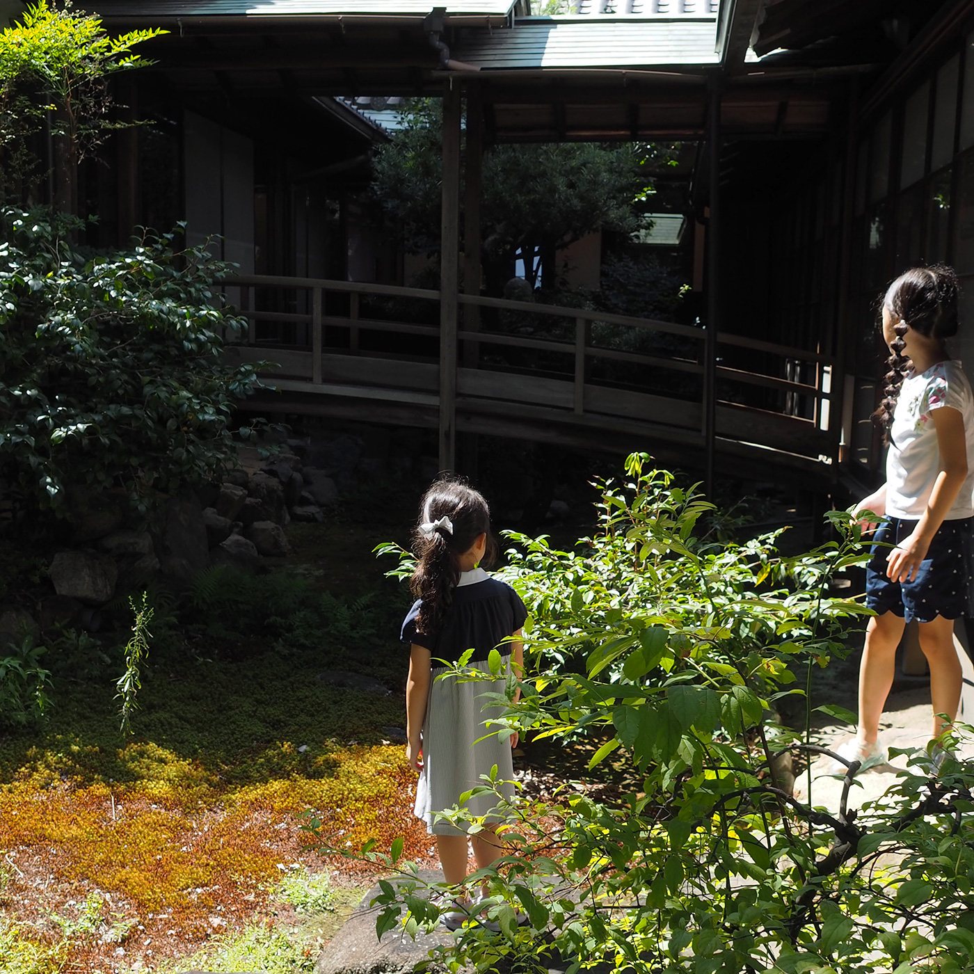 浄蓮寺 中庭で遊ぶ子供