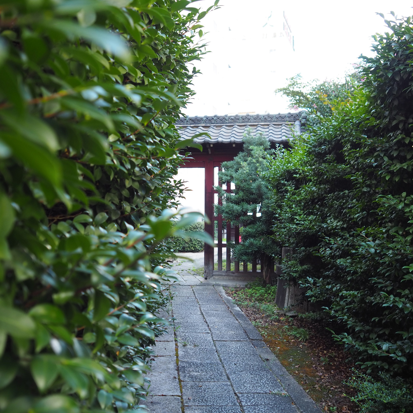 浄蓮寺 大通りに抜ける小道